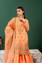 Psd-31-2 (Kinza Mehak)