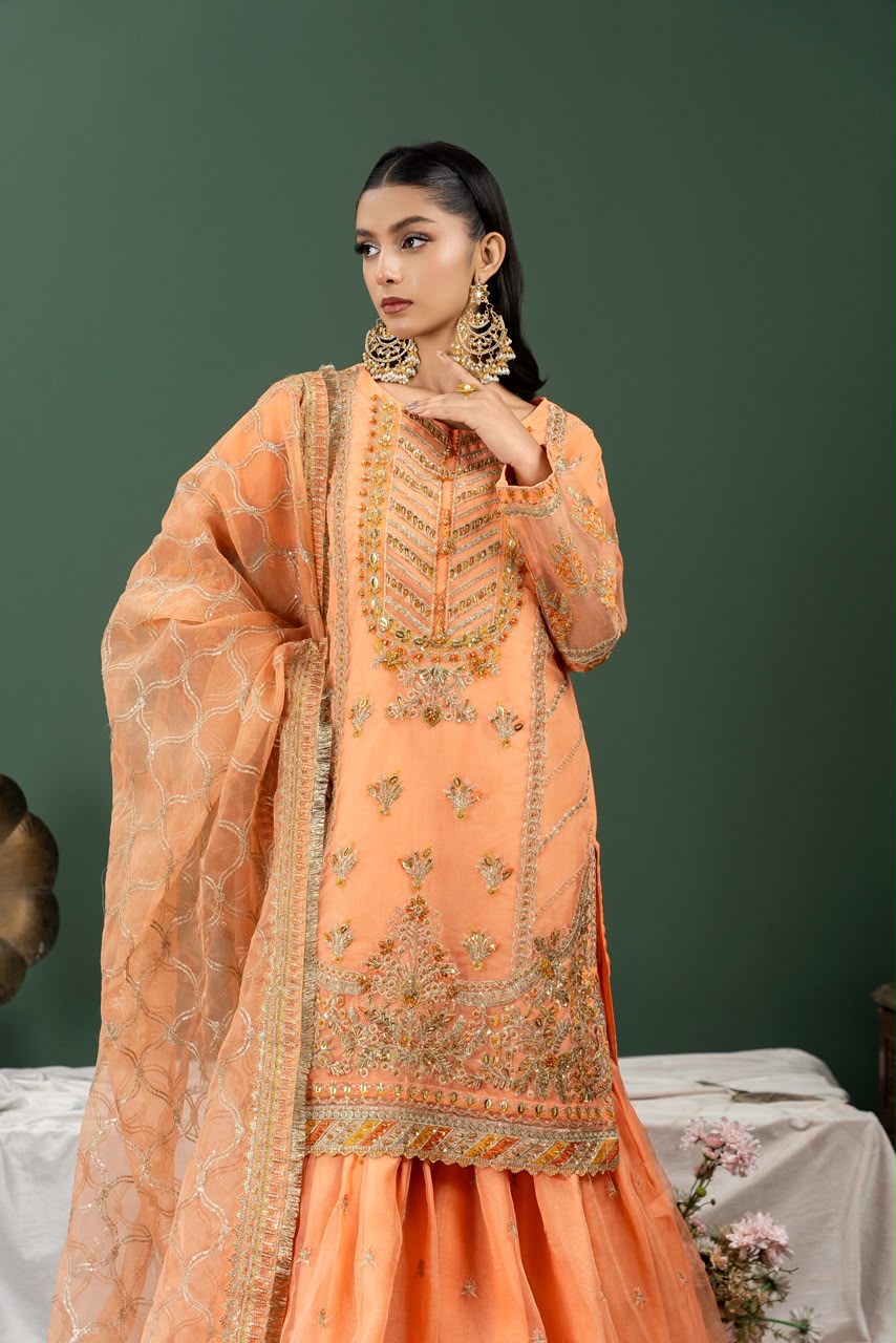 Psd-31-2 (Kinza Mehak)