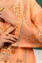 Psd-31-2 (Kinza Mehak)