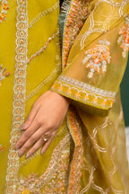 Psd-31-3 (Kinza Mehak)