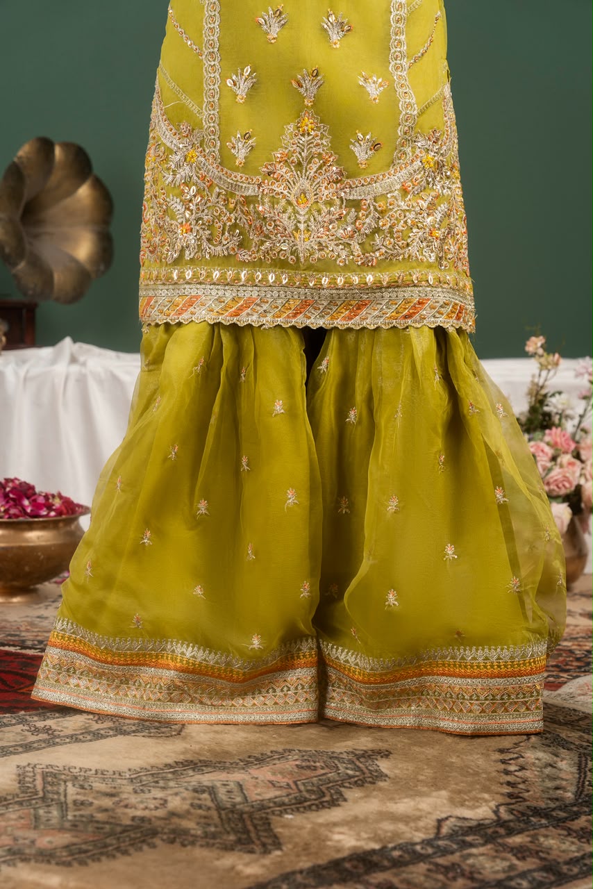 Psd-31-3 (Kinza Mehak)