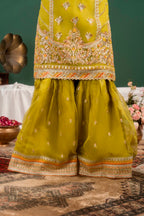 Psd-31-3 (Kinza Mehak)